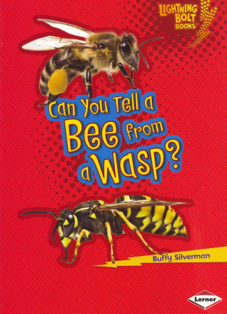 Can You Tell a Bee from a Wasp?