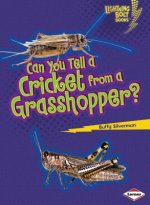 Can You Tell a Cricket from a Grasshopper?