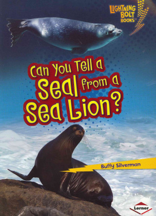 Can You Tell a Seal from a Sea Lion?