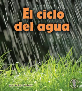 El Ciclo del Agua