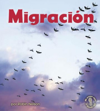 Migracion