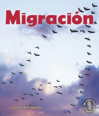 Migracion = Migration