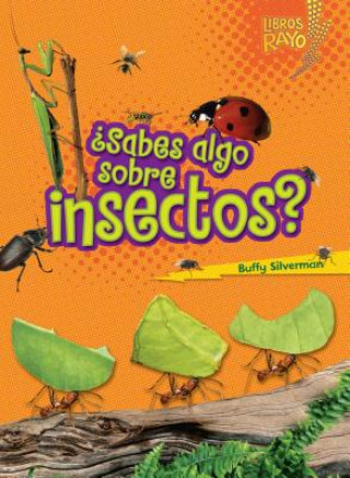 Sabes Algo Sobre Insectos = Do You Know about Insects?