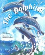 The Dolphins