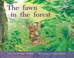 The Fawn in the Forest: Student Reader (Level 14)