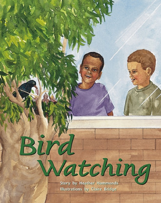 Rigby PM Plus: Leveled Reader (Levels 19-20) Bird Watching