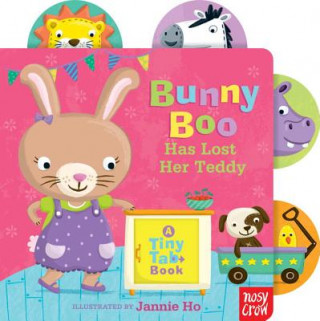 Bunny Boo Has Lost Her Teddy: A Tiny Tab Book