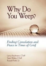 Why Do You Weep?: Finding Consolation and Peace in Times of Grief