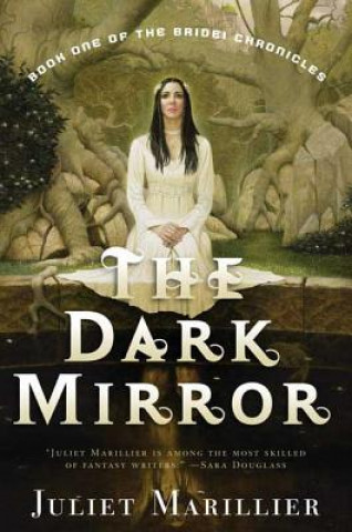 The Dark Mirror: