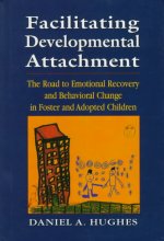 Facilitating Developmental Attachment