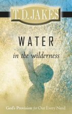 Water in the Wilderness: God's Provision for Our Every Need