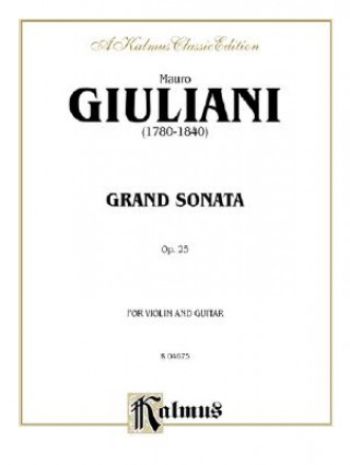 Grand Sonata, Op. 25: For Violin and Guitar