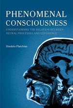 Phenomenal Consciousness: Understanding the Relation Between Experience and Neural Processes in the Brain