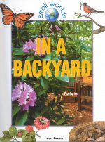 In a Backyard