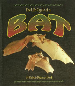 Bat