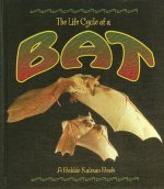 Bat