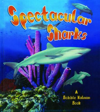Spectacular Sharks