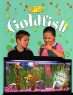 Goldfish