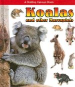 Koalas and Other Marsupials