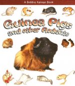 Guinea Pigs and Other Rodents