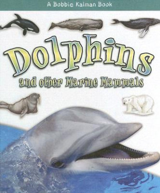 Dolphins and Other Marine Mammals