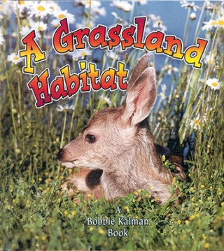 A Grassland Habitat