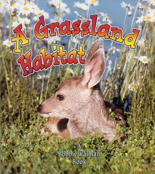 A Grassland Habitat