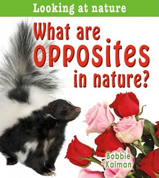 What Are Opposites in Nature?