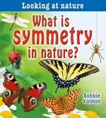 What Is Symmetry in Nature?