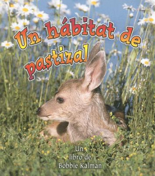 Un Habitat de Pastizal = A Grassland Habitat