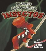 El Ciclo de Vida de Los Insectos