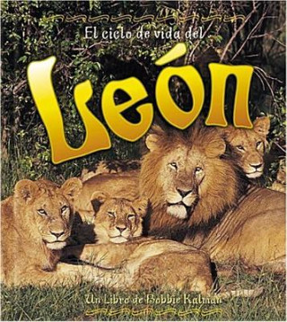 El Ciclo de Vida del Leon: The Life Cycle of a Lion = Life Cycle of a Lion
