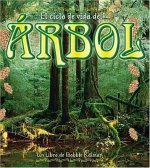 El Ciclo de Vida del Arbol = Life Cycle of a Tree