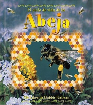 El Ciclo de Vida de la Abeja = Life Cycle of a Honeybee