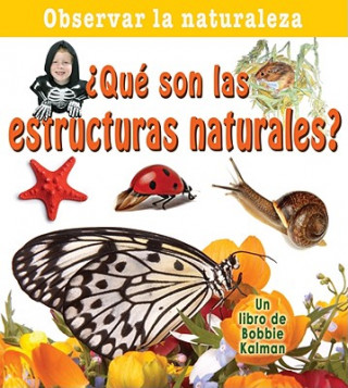 Que Son las Estructuras Naturales? = What Are Natural Structures