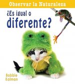 Es Igual O Diferente? = Is It the Same or Different?