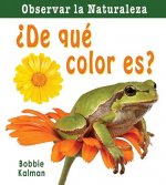 de Que Color Es? = What Color Is It?