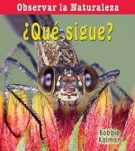 Que Sigue? = What Comes Next?