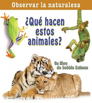 Que Hacen Esto Animales? = What Are These Animals Doing?