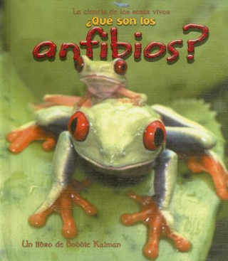 Que Son los Anfibios?