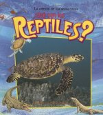 Que Son Los Reptiles?