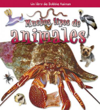 Muchos Tipos de Animales