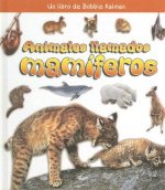 Animales Llamados Mamiferos