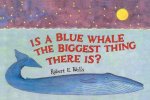 Is a Blue Whale the Biggest Thing There Is?