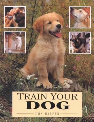 Train Your Dog