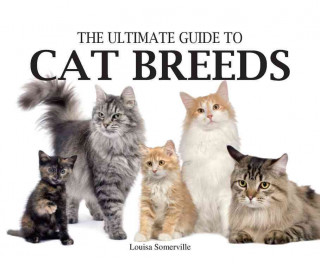 The Ultimate Guide to Cat Breeds