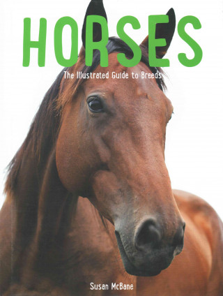 Horses: The Illustrated Guide to Breeds