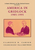 America in Gridlock 1985-1995