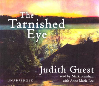 The Tarnished Eye: A Novel of Suspense
