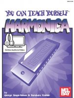 You Can Teach Yourself Harmonica Bk/CD/DVD Set